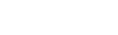 light_big_logo